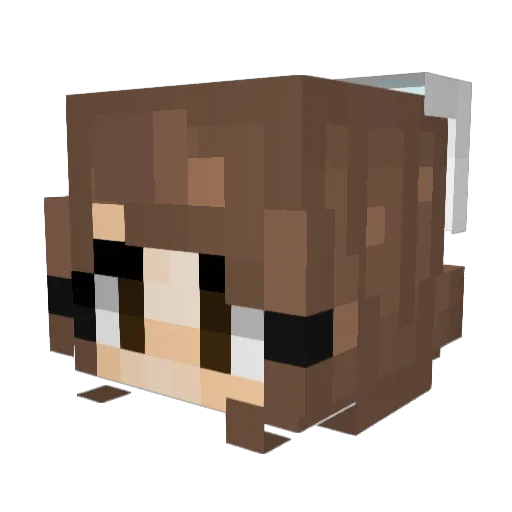 Rheygar Minecraft avatar head, 3D render