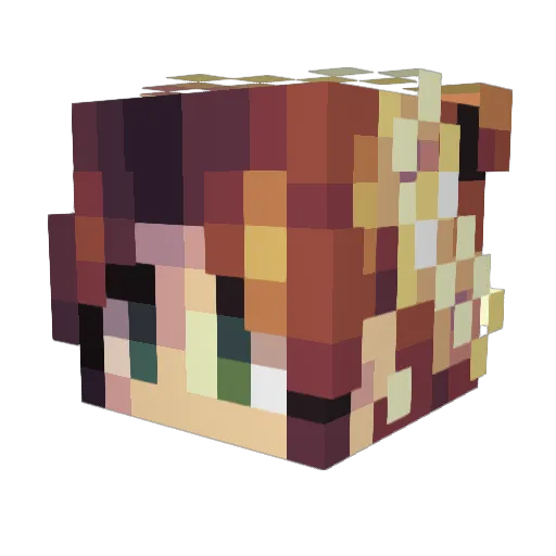 RhiXD Minecraft avatar head, 3D render