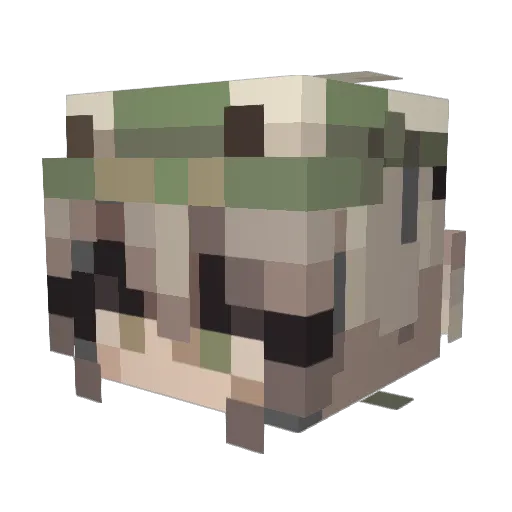 Rhines Minecraft avatar head, 3D render