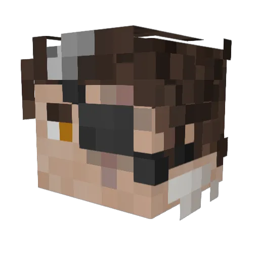 Rhinly Minecraft avatar head, 3D render