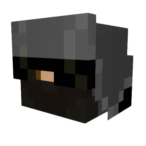 Rhino1399 Minecraft avatar head, 3D render
