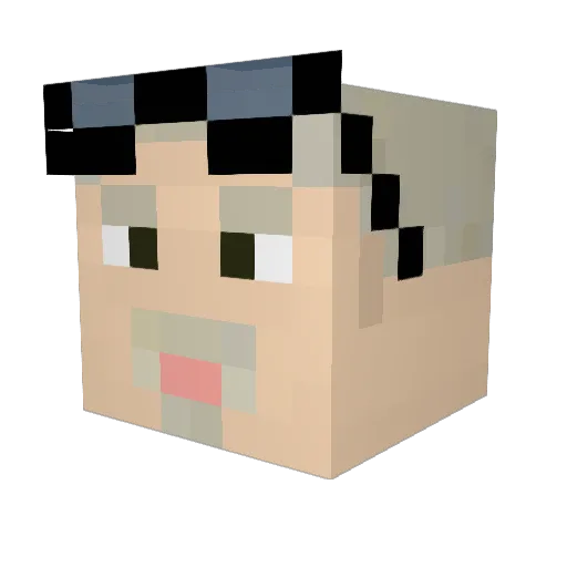 Rhino241284 Minecraft avatar head, 3D render