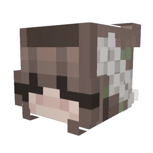 Rhipie750 Minecraft avatar head, 3D render