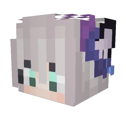 Rhoan00 Minecraft avatar head, 3D render
