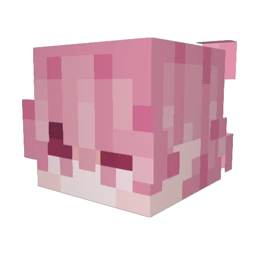 Rhodans Minecraft avatar head, 3D render