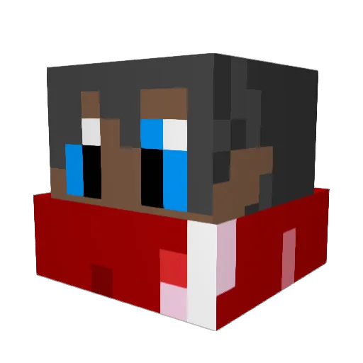 Rhode330 Minecraft avatar head, 3D render