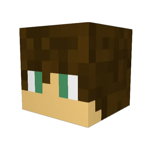 Rhode_ Minecraft avatar head, 3D render