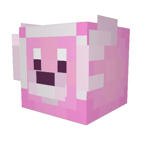Rhooke Minecraft avatar head, 3D render