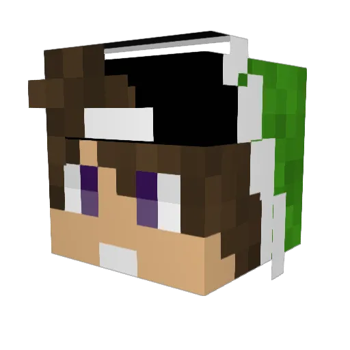 Rhs23 Minecraft avatar head, 3D render