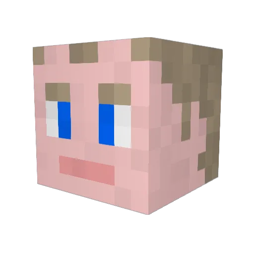 Rhulon Minecraft avatar head, 3D render