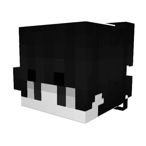 RhunDark Minecraft avatar head, 3D render