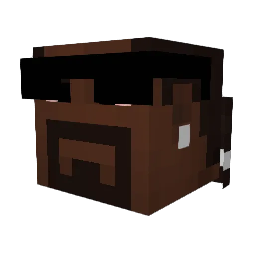 Rhyasamu Minecraft avatar head, 3D render