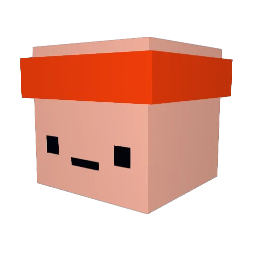 Rhyder6809 Minecraft avatar head, 3D render