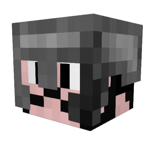 Rhykin Minecraft avatar head, 3D render