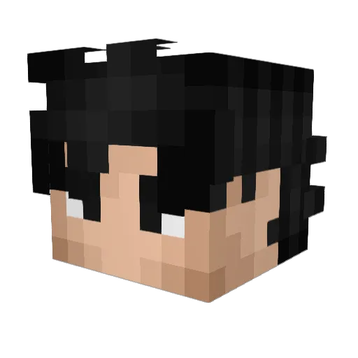 Rhykon Minecraft avatar head, 3D render