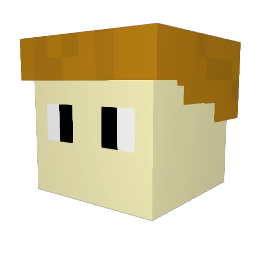 RhymZeldaMaster Minecraft avatar head, 3D render