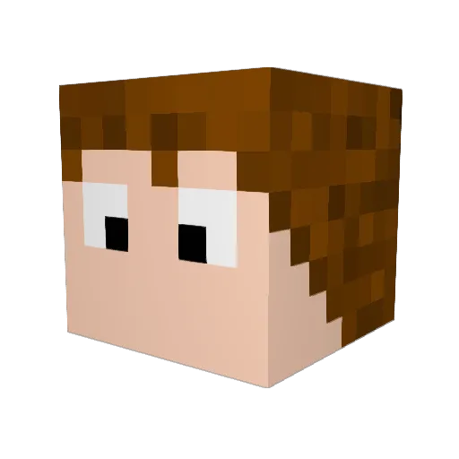 Rhyphed Minecraft avatar head, 3D render