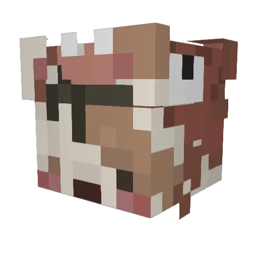 RhysChloe Minecraft avatar head, 3D render