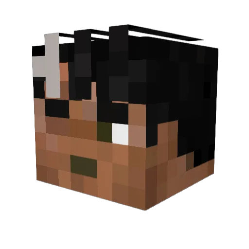 Rhys_Bob Minecraft avatar head, 3D render