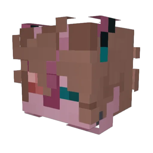 Rhys_Lord Minecraft avatar head, 3D render