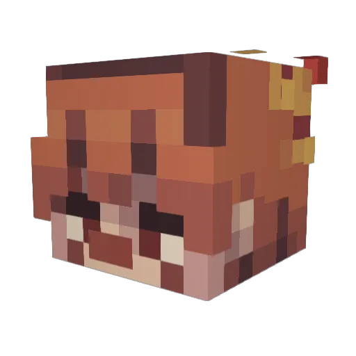 Rhys_Rhys Minecraft avatar head, 3D render