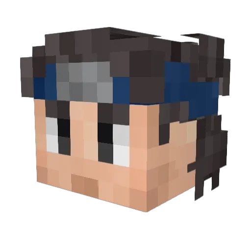 Rhysae Minecraft avatar head, 3D render