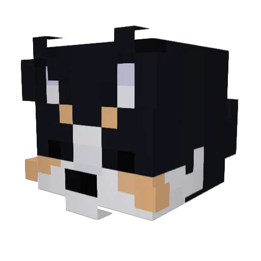 Rhysan Minecraft avatar head, 3D render