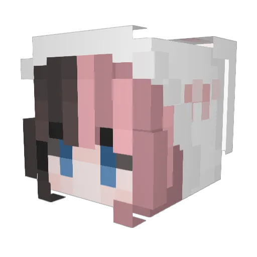 Rhythmmmm Minecraft avatar head, 3D render