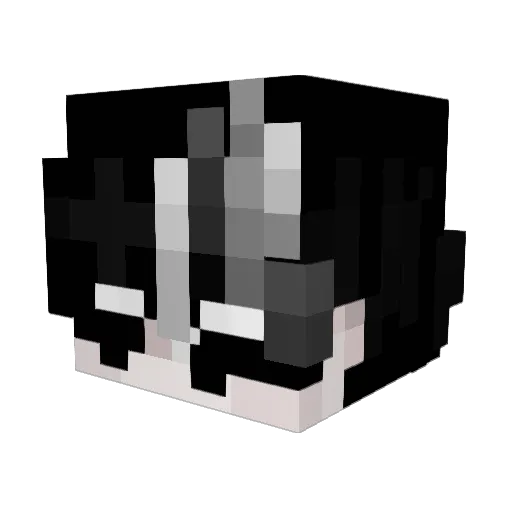 Rhyveen Minecraft avatar head, 3D render