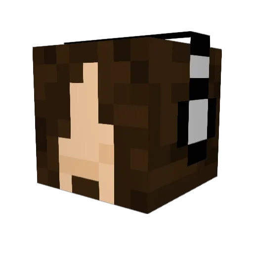 Rhyx Minecraft avatar head, 3D render