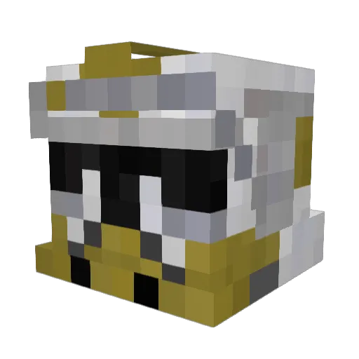 Rhyz1 Minecraft avatar head, 3D render