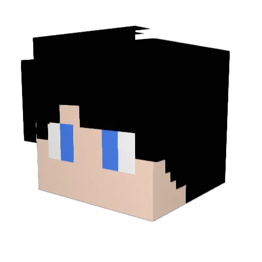 Ri0505 Minecraft avatar head, 3D render