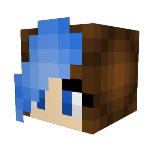 RiRiGalaxy Minecraft avatar head, 3D render