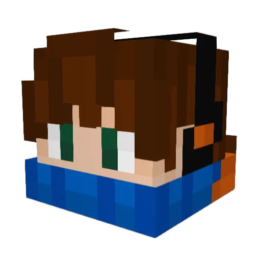 RiRink0311 Minecraft avatar head, 3D render