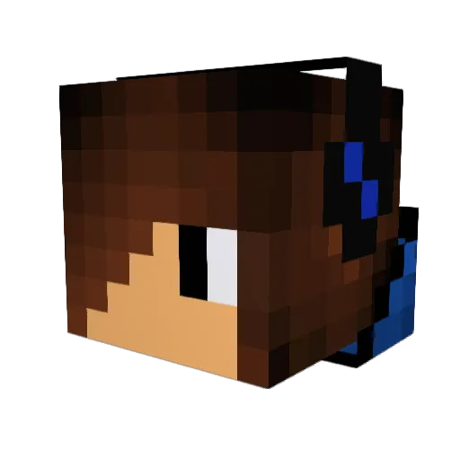 RiSam15 Minecraft avatar head, 3D render