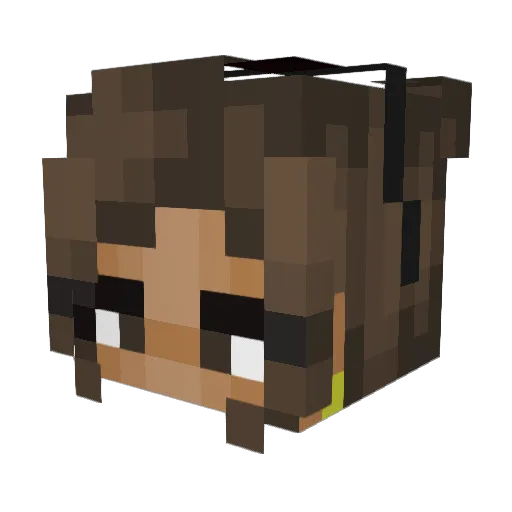 Ri_Frox Minecraft avatar head, 3D render