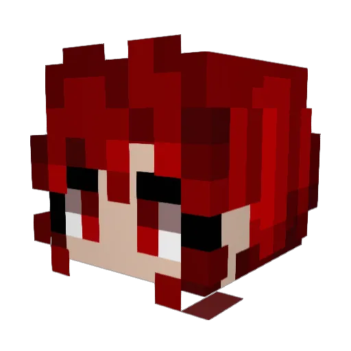 Ri_not_found Minecraft avatar head, 3D render