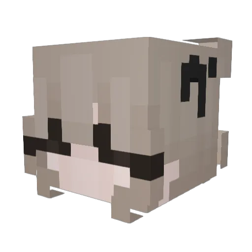 Ria0303 Minecraft avatar head, 3D render