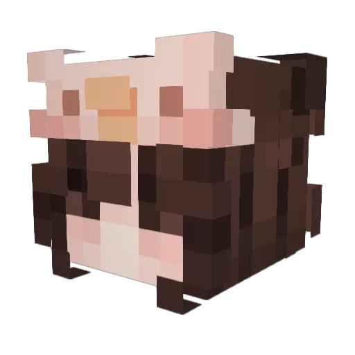 Ria1506 Minecraft avatar head, 3D render