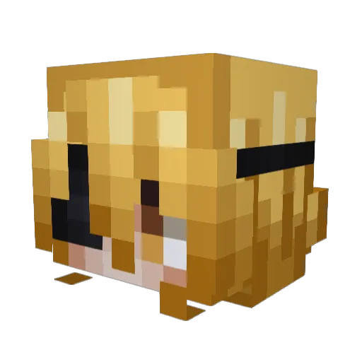 RiaImp Minecraft avatar head, 3D render