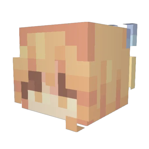 RiaRiaa Minecraft avatar head, 3D render
