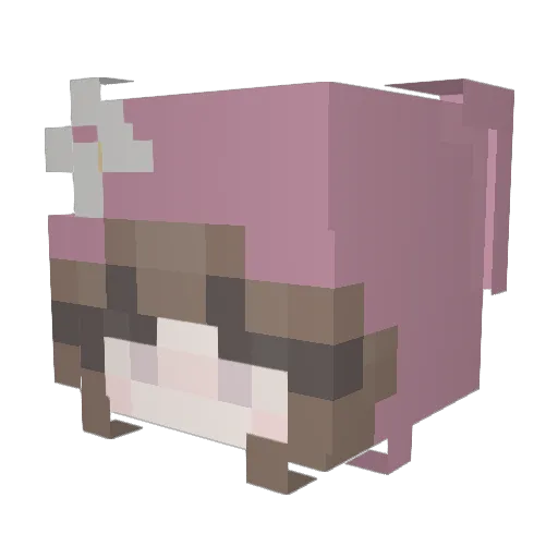 Riaaa123 Minecraft avatar head, 3D render