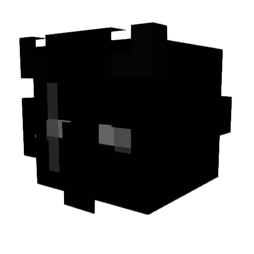 Riaden16 Minecraft avatar head, 3D render