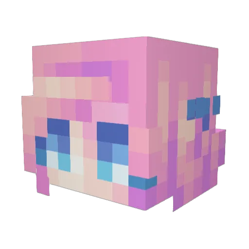 Riaiaa Minecraft avatar head, 3D render