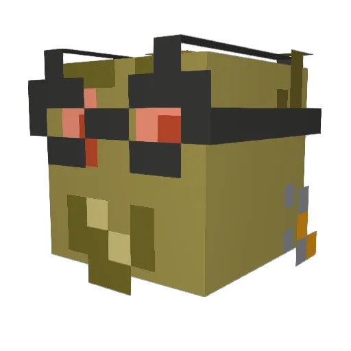 Rian1 Minecraft avatar head, 3D render