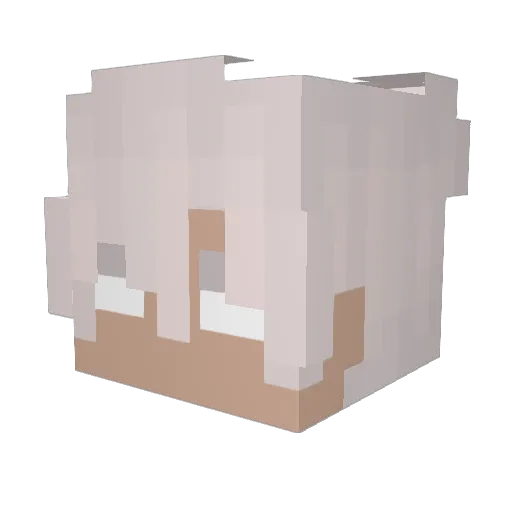 RianR2 Minecraft avatar head, 3D render