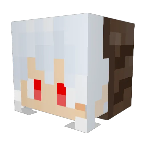 RianStrom0524 Minecraft avatar head, 3D render