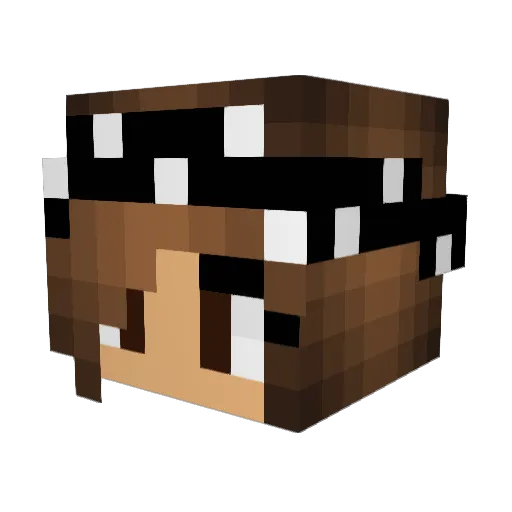 Riana711 Minecraft avatar head, 3D render