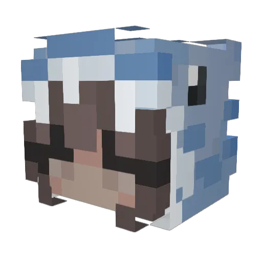 RianaX19 Minecraft avatar head, 3D render