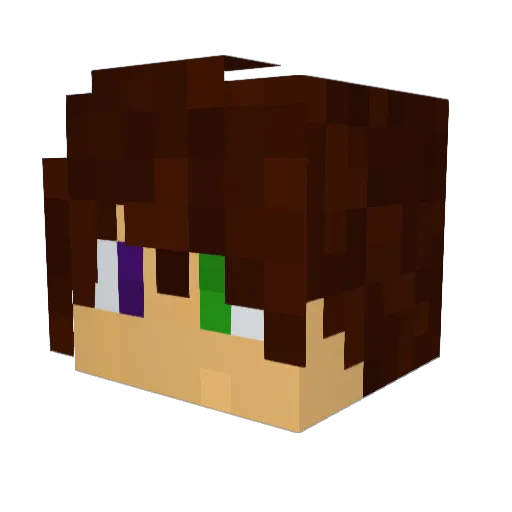 Rianjusss Minecraft avatar head, 3D render